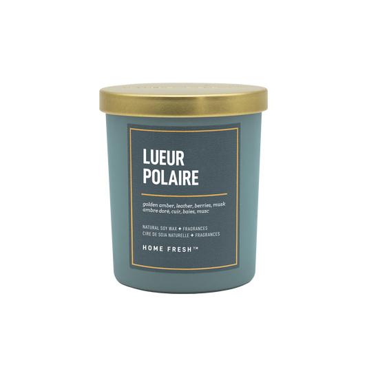Lueur Polaire - 1 mèche